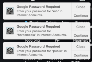 Apple Internet Accounts Password Required