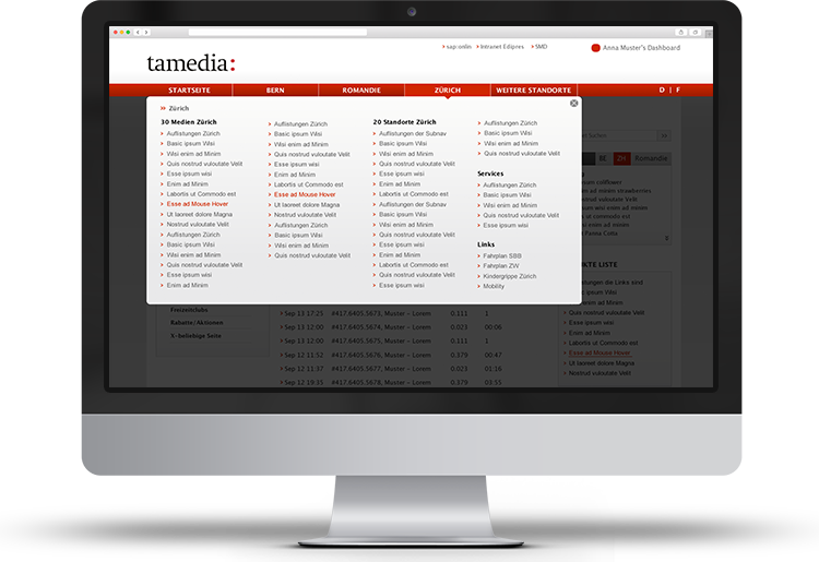 Portfolio-Intranet-Tamedia-menu